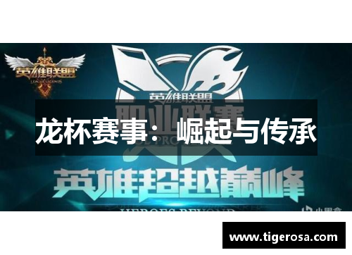龙杯赛事：崛起与传承