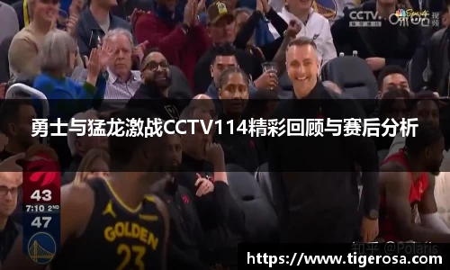 勇士与猛龙激战CCTV114精彩回顾与赛后分析