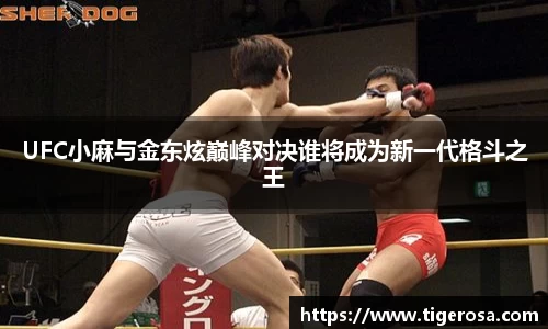 UFC小麻与金东炫巅峰对决谁将成为新一代格斗之王