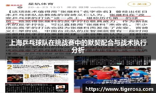 上海乒乓球队在挑战赛中的默契配合与战术执行分析