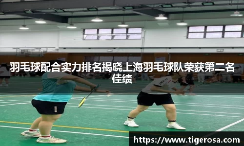 羽毛球配合实力排名揭晓上海羽毛球队荣获第二名佳绩