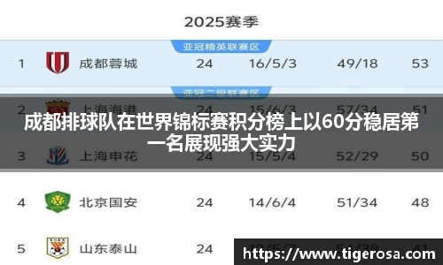 成都排球队在世界锦标赛积分榜上以60分稳居第一名展现强大实力