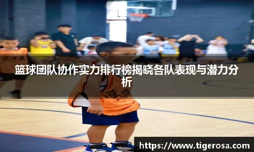 篮球团队协作实力排行榜揭晓各队表现与潜力分析